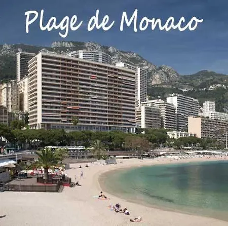 F1 50 M De Monaco Palais De France דירה